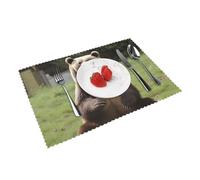 Salut l'ours, Assieds-Toi sur La Pelouse Sets De Table Lot De 4 Lavable Set Tables Anti-Taches Set De Table pour Maisons Hôtels Cuisine 30X45Cm