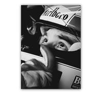 SALVADERO Affiche 250g (Magic Senna, 50x70 cm, Sans cadre)
