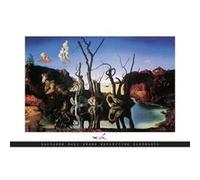 SALVADOR DALI POSTER, Affiche + 1 Powerstrips©, tesa adh‚sifs double face-20pcs G