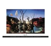 SALVADOR DALI POSTER, Affiche 61 cm x 91 cm G