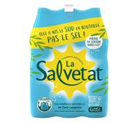 SALVETAT Eau gazeuse minérale naturelle 6x1.15L