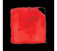 salvia palth - last chance to see 2 x 12 Vinyl Album RELEASE DATE 12/ - G3z