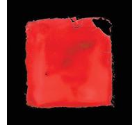 Salvia Palth – Last Chance to See – CD