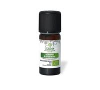 Salvia Romarin À Verbenone Huile Essentielle Bio 10ml