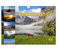 Salzkammergut, überraschend vielseitig (Wandkalender 2023 DIN A4) : Das Salzkammergut besticht mit Bergen, Seen und schönen Aussichten. (Monatskalender, 14 pages) (CALVENDO Orte)