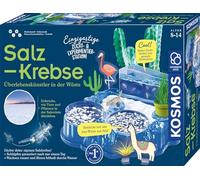 Salzkrebse: Experimentierkasten