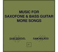 Sam Gendel - Music For Saxofone & Bass Guitar More Songs