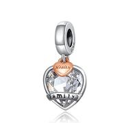 Sam Panda- 925 Argent sterling Famille Cœur Charm, compatible avec bracelets Pandora, 5A Cubic Zirconium…