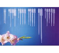 Samco 043252M Pipette de Transfert, Tige Étroite Irradié, Gamma/10, 15ml, Lot de 250