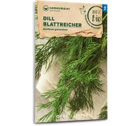 Samen Maier Aneth - Feuillu Bio - 1 sachet