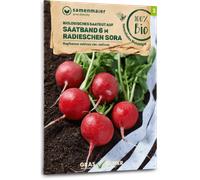 Samen Maier Bande de Graines de Radis "Sora" Bio - 1 sachet