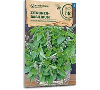 Samen Maier Basilic Citronnelle Bio - 1 sachet