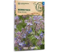 Samen Maier Bourrache Bio - 1 sachet