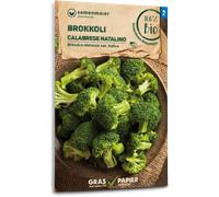Samen Maier Brocoli Bio "Calabrese Natalino" - 1 sachet