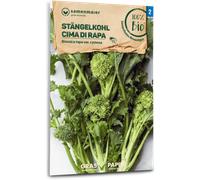 Samen Maier Brocoli-Rave Bio "Cima di Rapa" - 0,60 g