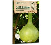 Samen Maier Calebasse "Weinheber Kittenberger" Bio - 1 sachet