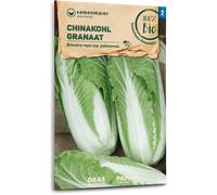Samen Maier Chou Chinois "Granaat" Bio - 1 sachet
