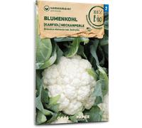 Samen Maier Chou-fleur Bio "Neckarperle" - 1 sachet