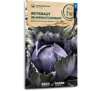 Samen Maier Chou Rouge Bio "Amarant" - 1 sachet