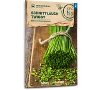 Samen Maier Ciboulette Bio "Twiggy" - 1 sachet