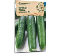 Samen Maier Concombre Bio "Tanja" - 1 sachet
