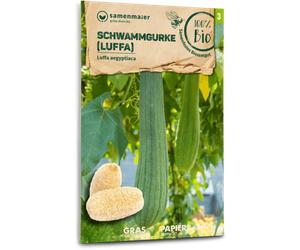 Samen Maier Courge Éponge Bio "Luffa" - 1 sachet