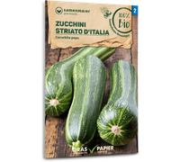 Samen Maier Courgette Bio "Striato d'Italia" - 1 sachet