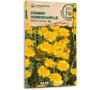 Samen Maier Fleur Sauvage - Anthémis des Teinturiers Bio - 1 sachet