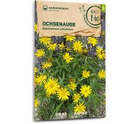 Samen Maier Fleur Sauvage - Buphtalme à Feuilles de Saule Bio - 1 sachet