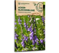 Samen Maier Fleur Sauvage - Campanule des Champs Bio - 1 sachet