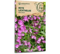 Samen Maier Fleur Sauvage Compagnon Rouge Bio - 1 sachet