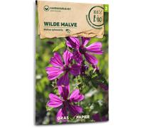 Samen Maier Fleur Sauvage Grande Mauve Bio - 1 sachet
