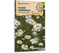 Samen Maier Fleur sauvage - Petite Marguerite Bio - 1 sachet