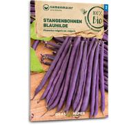 Samen Maier Haricot Vert Bio Sans Fil "Blauhilde" - 1 sachet