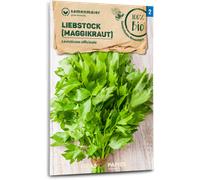 Samen Maier Livèche Bio - 1 sachet