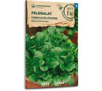 Samen Maier Mâche Bio "Coquille de Louviers" - 1 sachet