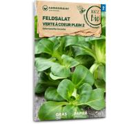 Samen Maier Mâche "Verte à Coeur Plein 2" Bio - 2 g