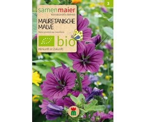 Samen Maier Mauve de Mauritanie Bio - 1 sachet