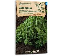 Samen Maier Moutarde Indienne Bio - Golden Frills - 1 sachet