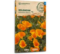 Samen Maier Pavot de Californie Bio - Orange - 1 sachet