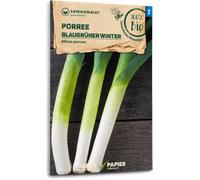 Samen Maier Poireau Bio "Blaugrüner Winter" - 1 sachet
