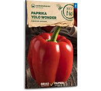 Samen Maier Poivron "Yolo Wonder" Bio - 1 sachet