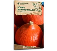 Samen Maier Potiron Géant, Red Kuri "Hokkaido" Bio - 1 sachet