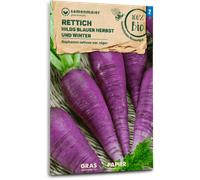 Samen Maier Radis d'Hiver "Bleu Automne & Hiver" Bio - 1 sachet