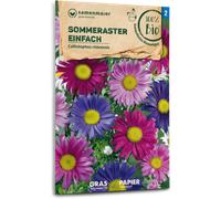 Samen Maier Reine-Marguerite Bio - 1 sachet