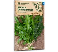 Samen Maier Roquette Bio "Wilde Rauke" - 0,50 g