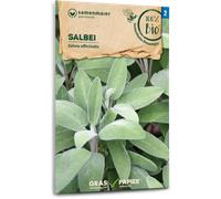 Samen Maier Sauge Bio - 1 sachet