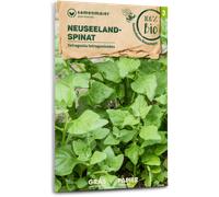 Samen Maier Tétragone Cornue Bio - 1 sachet