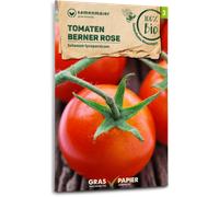 Samen Maier Tomate Bio "Berner Rose" - 1 sachet