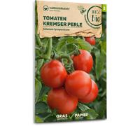 Samen Maier Tomate Bio "Kremser Perle" - 1 sachet